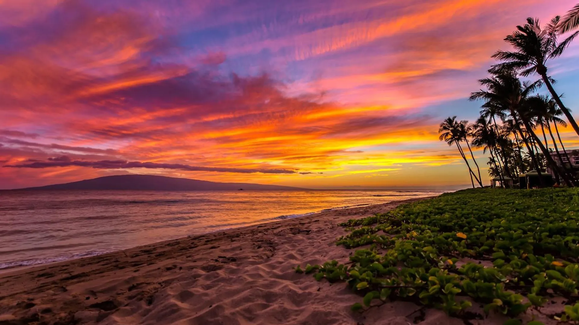 Σπίτι διακοπών Best Studio Ocean Views At Honua Kai - Soak In Maui Sunsets On This Expansive Lanai -Hokulani 719 Lahaina Ηνωμένες Πολιτείες της Αμερικής